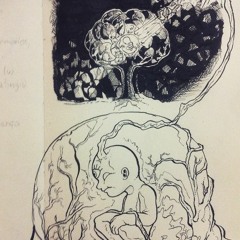 Gaius Ribeiro Chagas