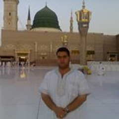 Amr Elsharkawy
