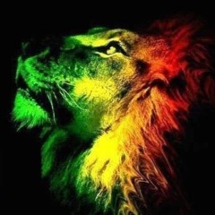 den brazza