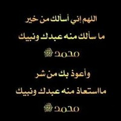 Mohamed Zayed