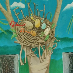 The Nest Bocas Studio