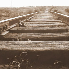 Denis Gate