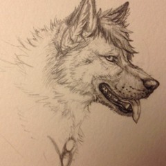 SheppyDoggo