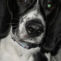 Two Pieces for Low Brass, Movement 2