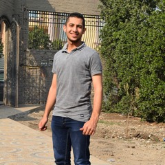 Osama El-Saidy