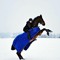 user21749064
