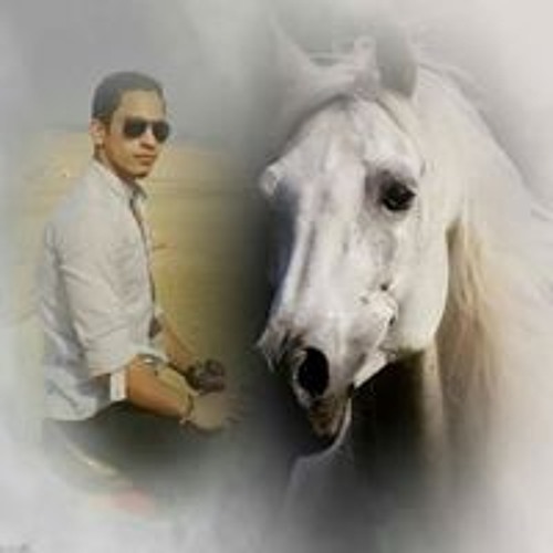 Wael Zamarany’s avatar
