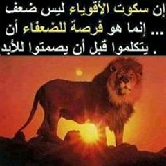 khaled noaman