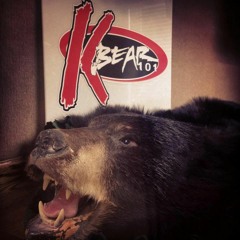 KBear 101