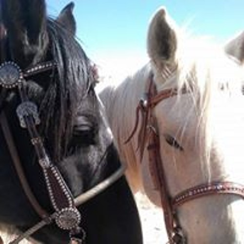 Sblkhrsbdaymtg01.m4a