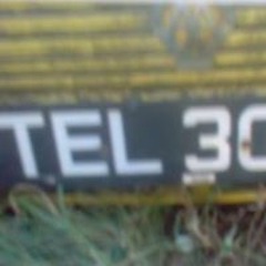 Terry Dilligaf Wisbey