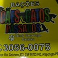 Raçoescaesgatosepassaros