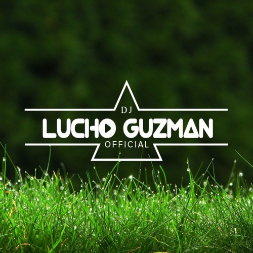 DJ Lucho Guzmàn Remixes’s avatar
