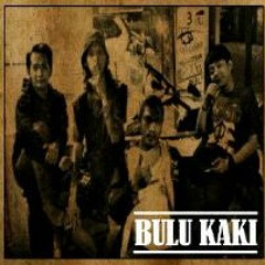 BULU KAKI