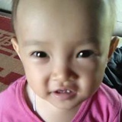 Phạm Việt Chinh
