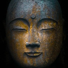 User 246432011