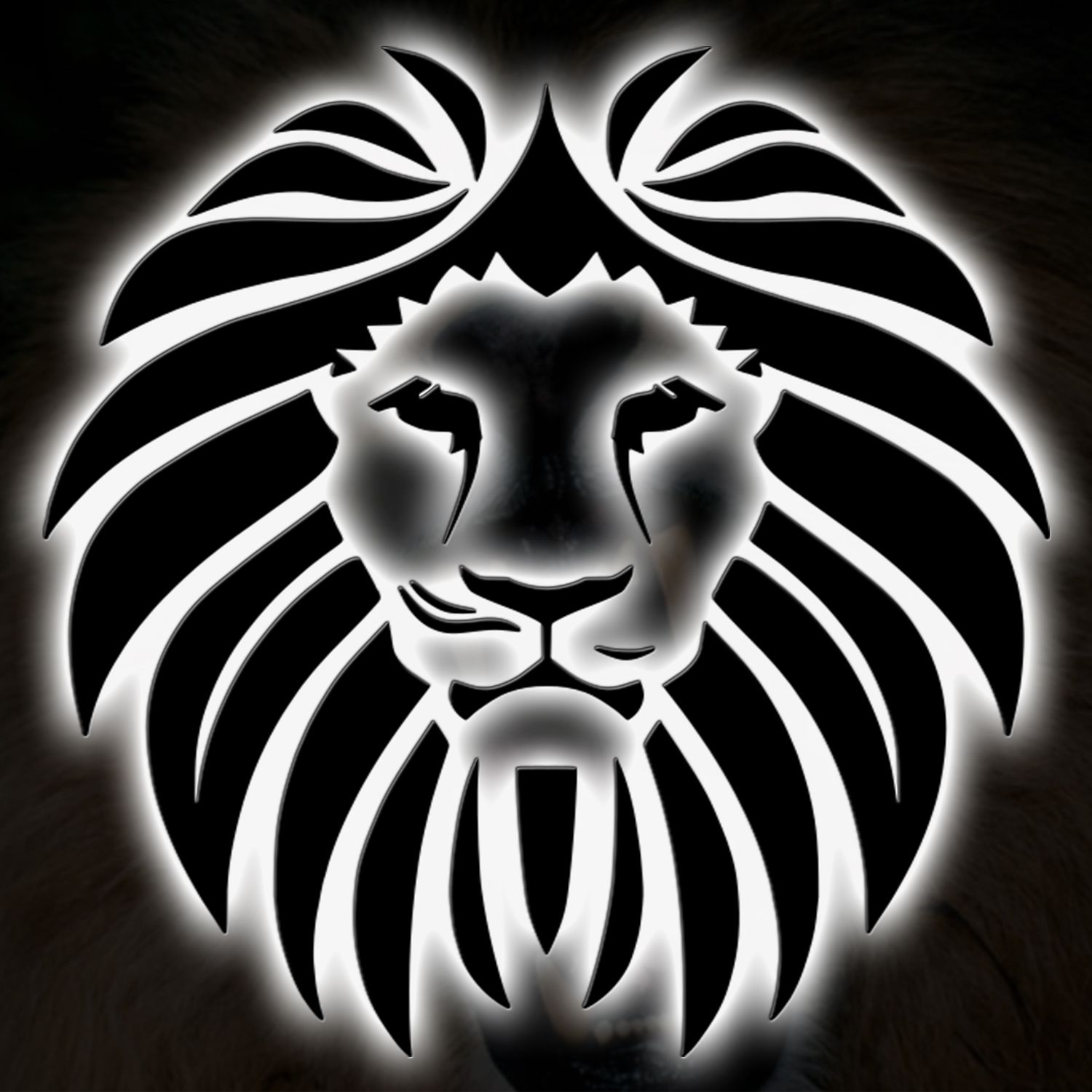 Walk With Lions