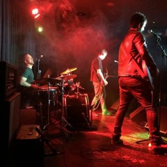 D.B and the Fireflys