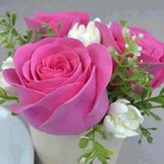 المشتاقة للفردوس