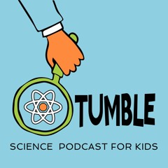 Tumble Podcast