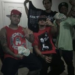 Shottiebaby Mob Lally