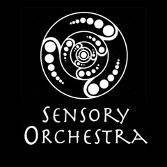 Sensory Orchestra