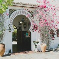 Alaa El Rhman Shaker