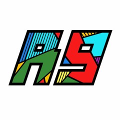 racoon ix