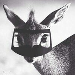 غيمه جنوبيه