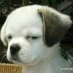 An bình