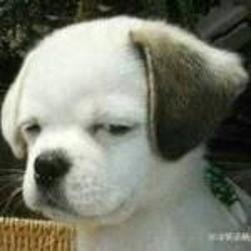 An bình