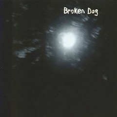 Broken Dog