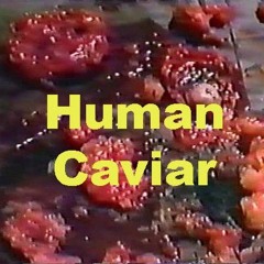 Human Caviar Recordings