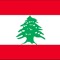 Andre srour