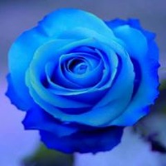 Siham Ngm