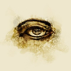 Phine Design