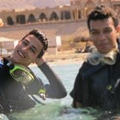 Reyad Mohsen