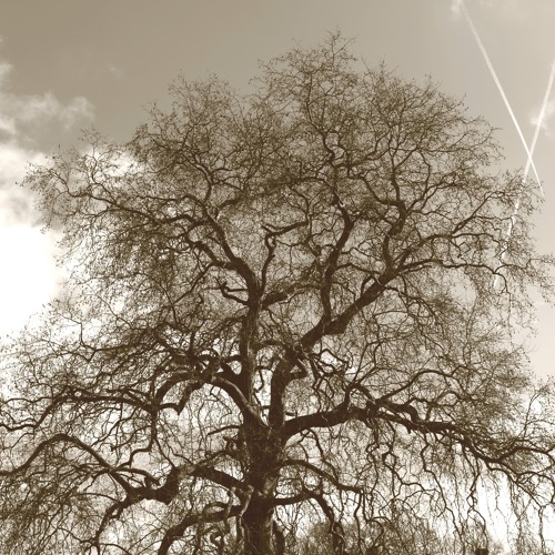 Steppas On The Road Mix Wave (final version)