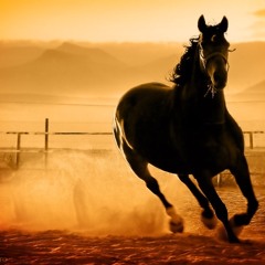 أبو عبدالله