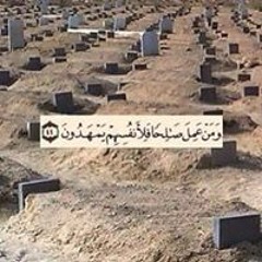 Mahamed Taha