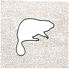 squaredbeaver