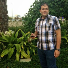 Waleed Alhadek
