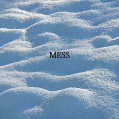 Mess