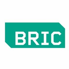 BRIC Arts
