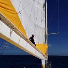 Arbirsailing Half Tonner