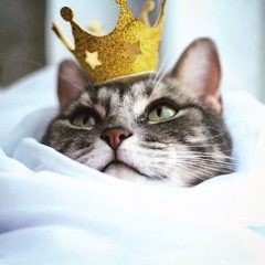 ☯Mυѕє σƒ Lιƒє☯