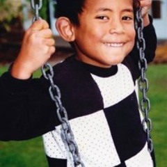 Clouded Lights Swift