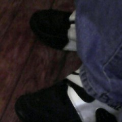 zay337