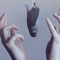 Rawan Alkhmis