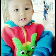 Ko Zaw